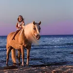 Arion Stables & Apartment