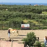 Arion Stables & * Hersonissos (Crete)
