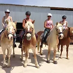 Arion Stables & Apartment *
