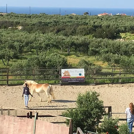 Arion Stables & * Hersonissos (Crete)