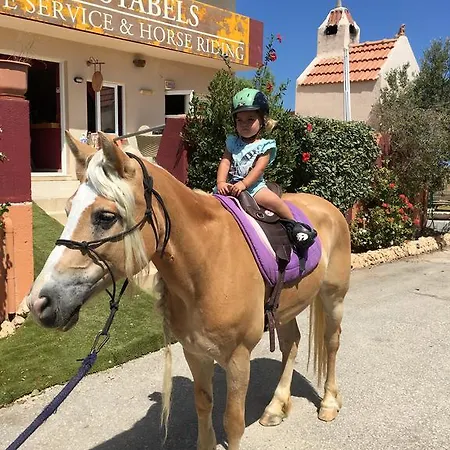 Arion Stables & Apartment