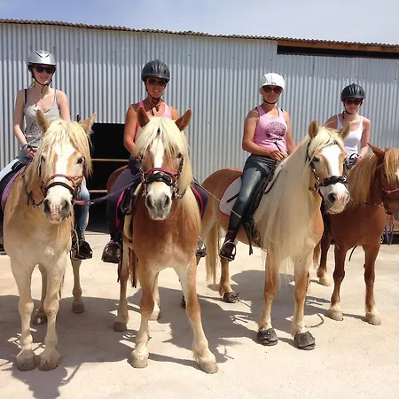 Arion Stables & شقة *