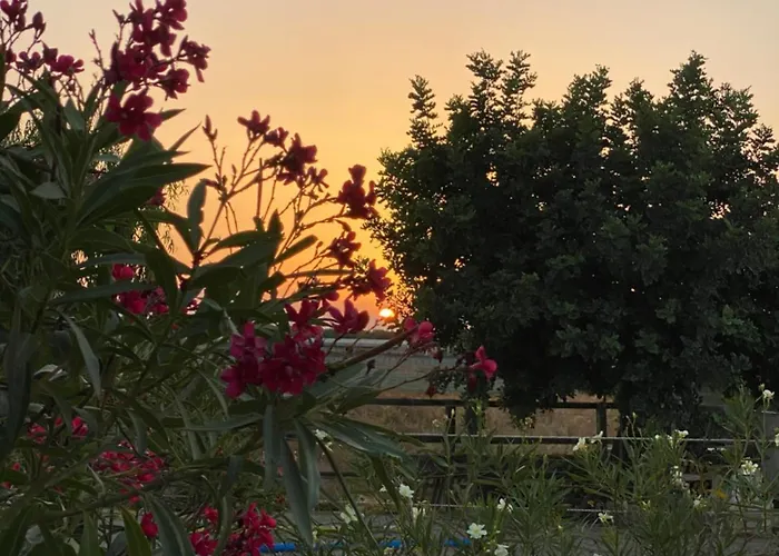 Apartman Arion Stables & *