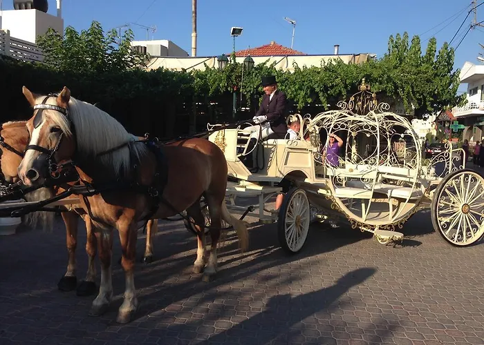 Arion Stables & Apartman