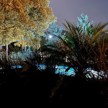 Arion Stables & Apartament