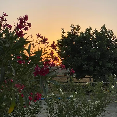 Apartament Arion Stables & *