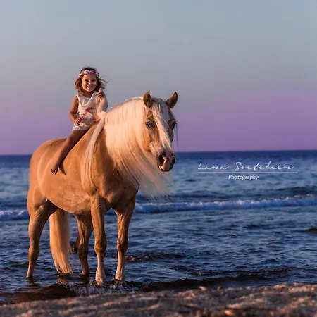 Arion Stables & Apartament