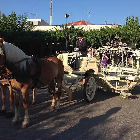 Arion Stables & Apartament