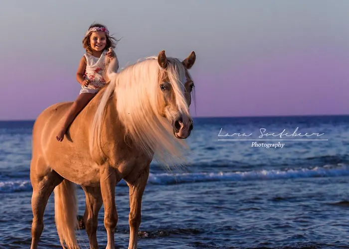 Arion Stables & דירה