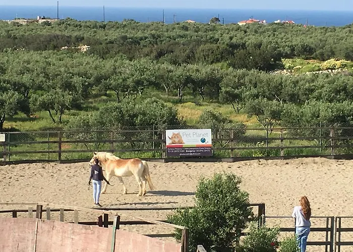 Arion Stables & * הרסוניסוס